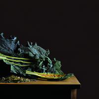 Cavolo nero