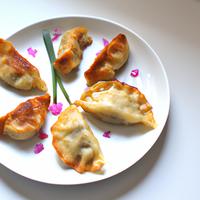 Chinese fried dumpling