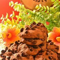 Chocolate chip coolie dough
