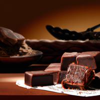 Chocolate fudge bar