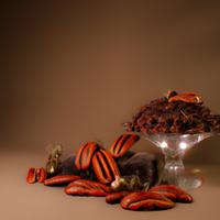 Chocolate pecans
