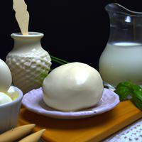 Daiya mozzarella cheese