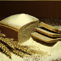 Ditaliano whole wheat