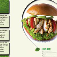 Duckworth twisted chicken sandwich