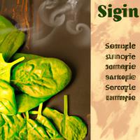 Fresh spinach leaves