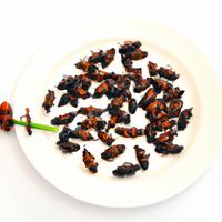 Fried insects