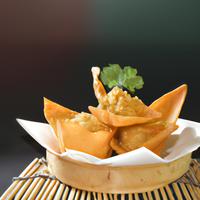 Fried wonton crisps