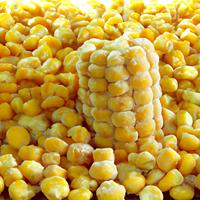 Frozen corn unseasoned