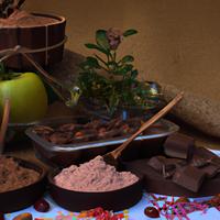 Garden of life chocolate protein