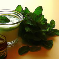 Greek yogurt mint sauce