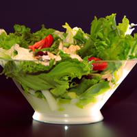 Green salad no dressing