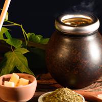 Guayaki yerba mate organic