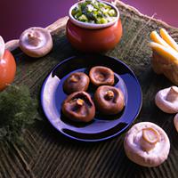 Hongos