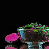 Kale beetroot salad