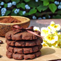 Low carb chocolate cookies