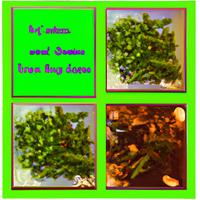 Marks feed store green beans