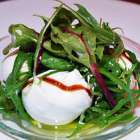 Mixed greens with burrata