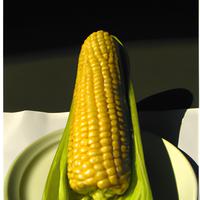 One butterd corn on a cob