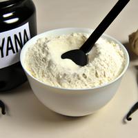 Orgain vanilla bean protein powder