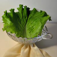 Outer lettuce leaves