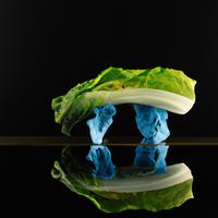 Outer romaine lettuce leaf