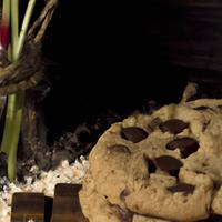 Paradise chocolate chip cookie