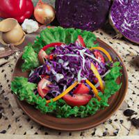 Romaine red cabbage onion tomato salad