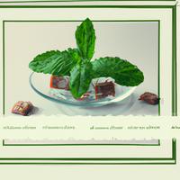 Russell stover mint