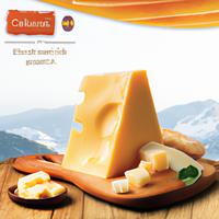 Sargento swiss cheese slice