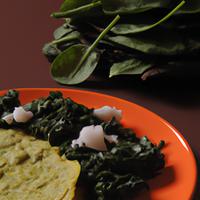 Spinach herb carb smart tortilla