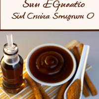 Sugar-free churro syrup zero