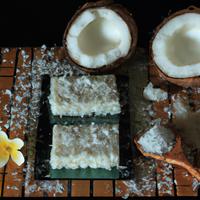 Sugar free coconut bar
