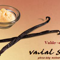 Sugar free vanilla