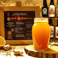 Synergy kombucha