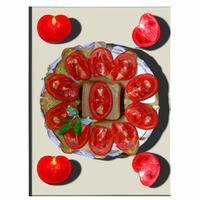 Tomato slices on bread
