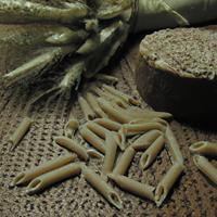 Whole grain penne