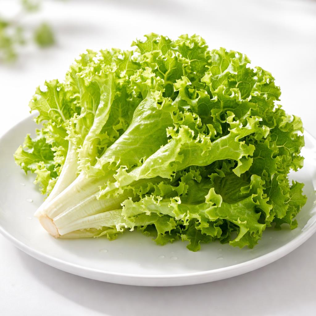 Lettuce Leaf