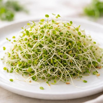 Alfalfa sprouts