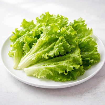 Burger leaf lettuce leaves