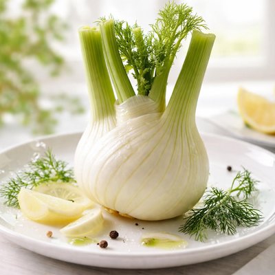 Fennel bulb