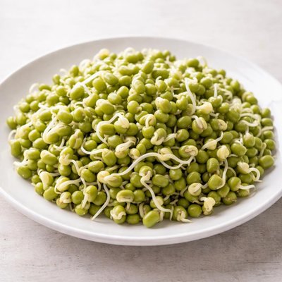 Green gram sprouts