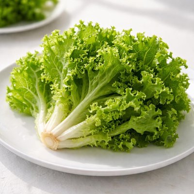 Green leaf lettuce