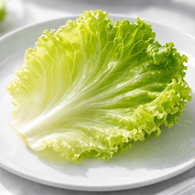 Iceberg lettuce leaf