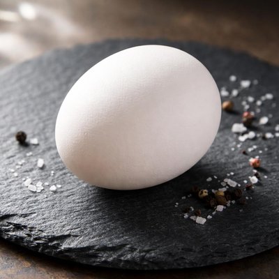 Large white egg