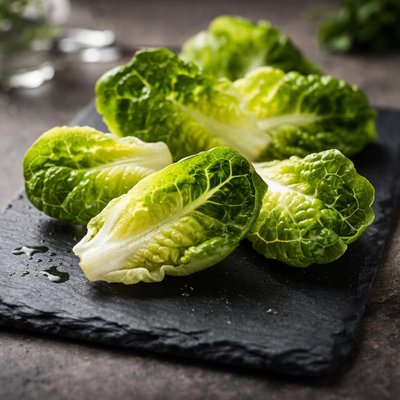 Little gem lettuce leaves