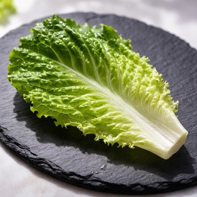 Outer romaine lettuce leaf