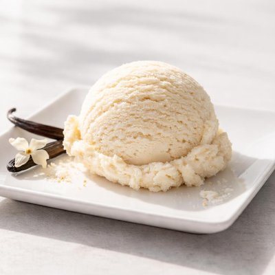 Publix vanilla ice cream scoop