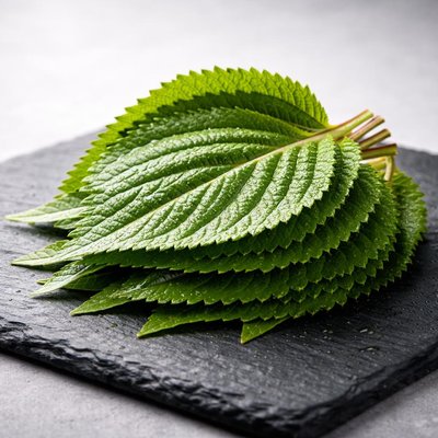 Sesame leaves