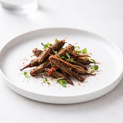 Image of Grasshoppers