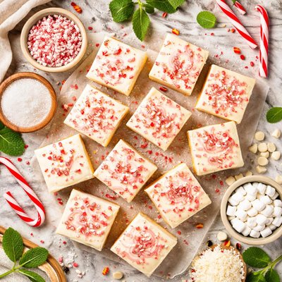 Image of Peppermint Fudge Not Chocolate